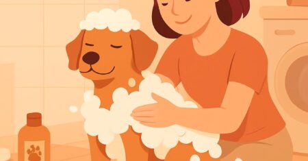 Guia rápido de banho em casa sem estressar o cachorro